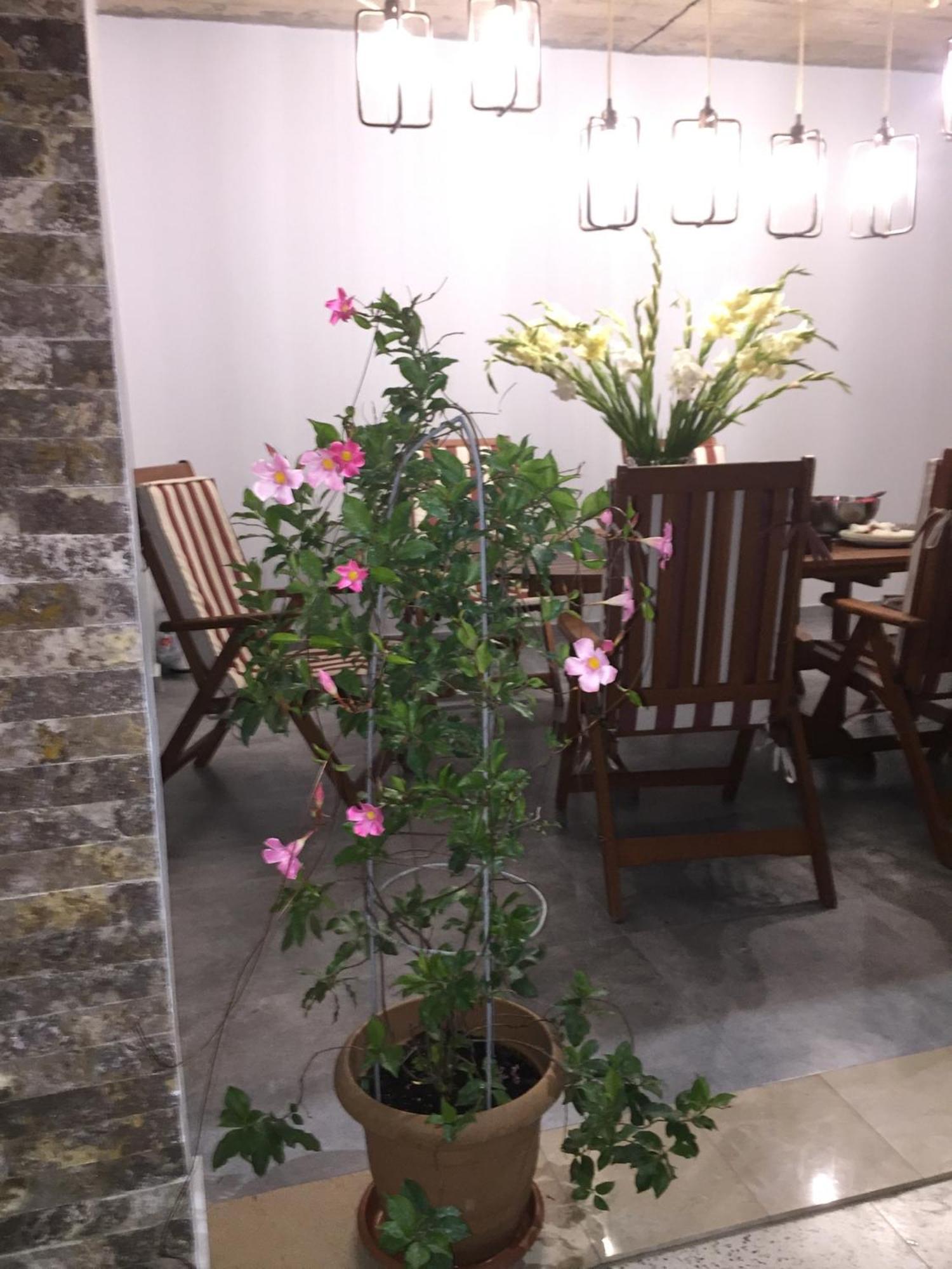 Guest House Smile Кобулети Экстерьер фото